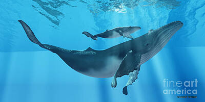 Graphic Trees Royalty Free Images - Caring Mother Humpback Royalty-Free Image by Corey Ford