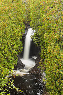 Winter Animals - Cascade River Waterfall 10 by John Brueske