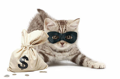 Mixed Media Royalty Free Images - Cat Burglar Royalty-Free Image by Marvin Blaine