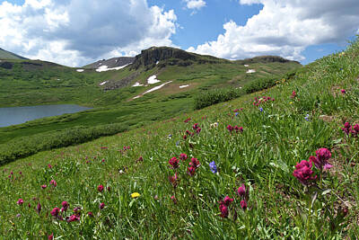 Only Orange - Cataract Lake and Wildflower Meadow by Cascade Colors