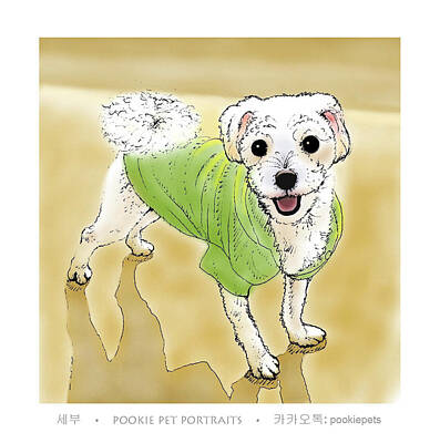 Recently Sold - Portraits Royalty-Free and Rights-Managed Images - Cebu by Pookie Pet Portraits