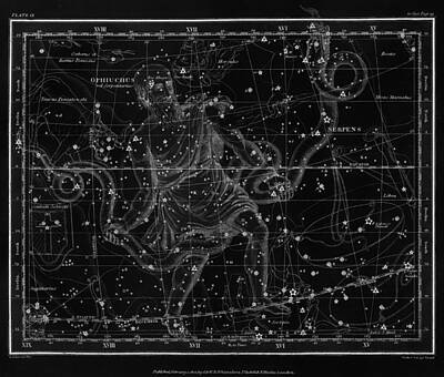 Reptiles Drawings Royalty Free Images - Celestial Map print from 1822 - Black and White Royalty-Free Image by Marianna Mills