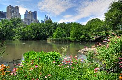 Lovely Lavender - Central Park by Kelly Wade
