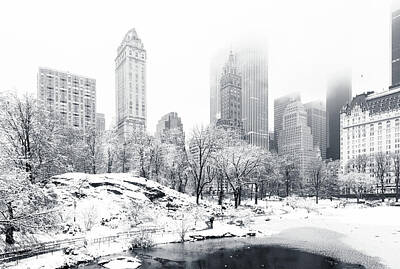 Cities Royalty-Free and Rights-Managed Images - Central Park by Mihai Andritoiu