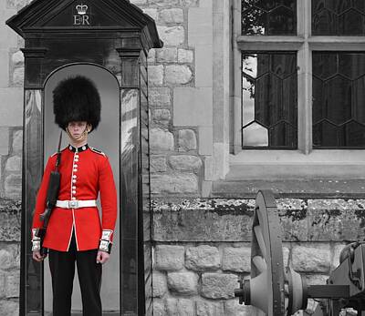 Funny Kitchen Art - Changing of the Guard by Chris Alberding
