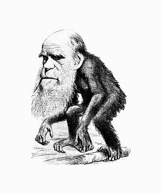 Mammals Mixed Media - Charles Darwin As An Ape Cartoon by War Is Hell Store