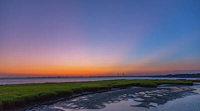 Zen Rocks Rights Managed Images - Charleston Harbor Royalty-Free Image by Todd Wise