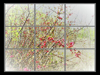 Kitchen Food And Drink Signs - Cherry Blossoms at My Window by Kathy Moll