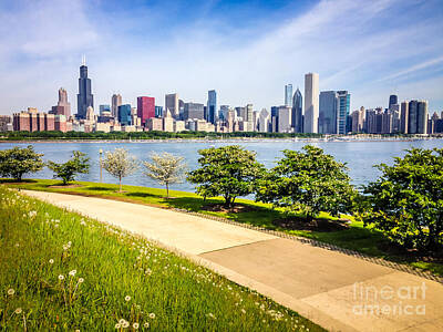 Skylines Rights Managed Images - Chicago Skyine and Lakefront Trail Royalty-Free Image by Paul Velgos