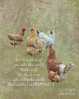 Mans Best Friend Rights Managed Images - Chickens With Attitude  Royalty-Free Image by Terri Waters