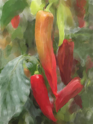 Recently Sold - Portraits Paintings - Chili Peppers by Portraits By NC