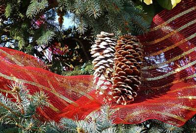 Animals Photos - Christmas Pine Cones by Jennifer Wheatley Wolf