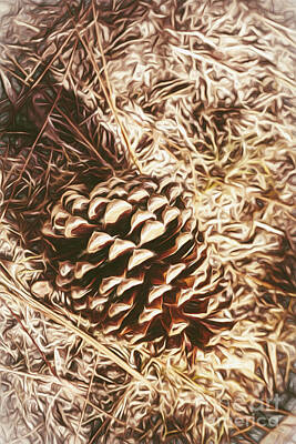 Landscapes Kadek Susanto Rights Managed Images - Christmas pinecone on barn floor Royalty-Free Image by Jorgo Photography