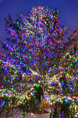 Swirling Patterns - Christmas Tree Near Panther Stadium In Charlotte North Carolina by Alex Grichenko