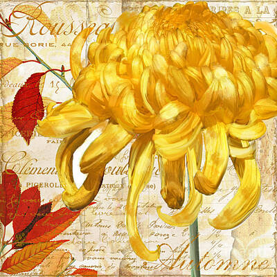 Royalty-Free and Rights-Managed Images - Chrysanthemes by Mindy Sommers