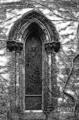 Irish Leprechauns - Church Window and Vine BW by Mike Nellums