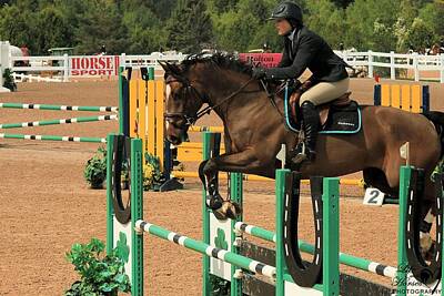 Animals Photos - Classic1-sat-jumpers11 by Life With Horses