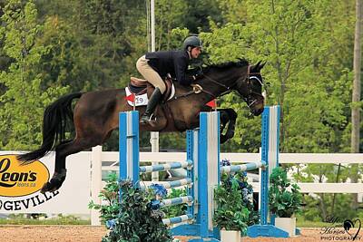 Animals Photos - Classic1-sat-jumpers34 by Life With Horses