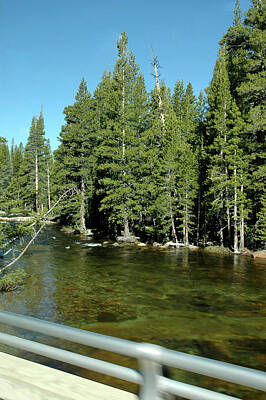 Purely Purple - Clear River water Yosemite by LeeAnn McLaneGoetz McLaneGoetzStudioLLCcom