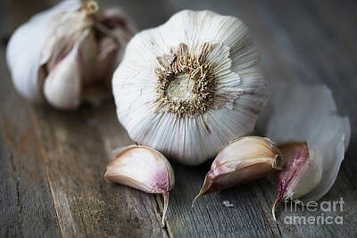 Pretty In Pink - Close Up Head of Garlic by Charlotte Lake