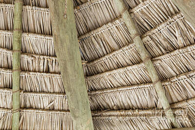 Mannequin Dresses Royalty Free Images - Close-up of hanging edge of thatched umbrellas on beach Royalty-Free Image by Mariusz Prusaczyk