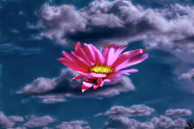 Art History Meets Fashion Royalty Free Images - Cloud flower.  Royalty-Free Image by Leif Sohlman