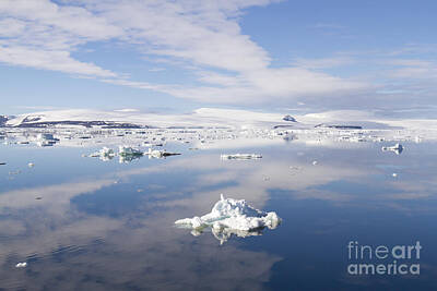Spot Of Tea Rights Managed Images - Cloudscape reflecting in Antarctic Sound 4 Royalty-Free Image by Karen Foley