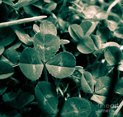 Tropical Life Royalty Free Images - Clover Patch Royalty-Free Image by Lisa Knauff