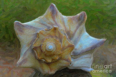 Autumn Pies - Coastal Shell by Dale Powell