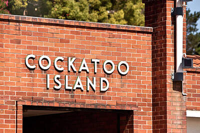 Grateful Dead - Cockatoo Island Entrance by Miroslava Jurcik