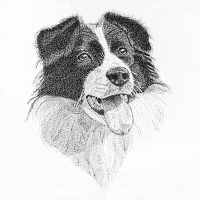 Food And Beverage Drawings - Collie Dots by Hazy Apple