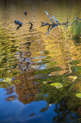 Abstract Landscape Photos - Colorful Water Reflections in Autumn by Randall Nyhof
