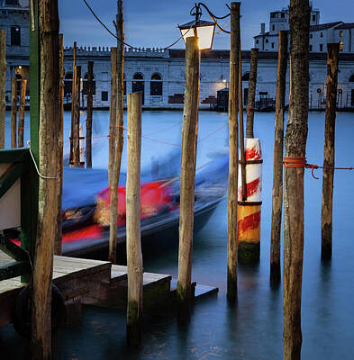 Bear Photography Rights Managed Images - Colors of Venice Royalty-Free Image by Shahid Khan