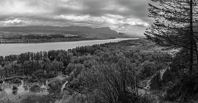 Purely Purple - Columbia River Gorge black and white  by John McGraw