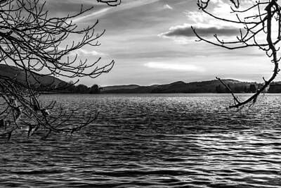 Sheep - Coniston Water by Keith Elliott