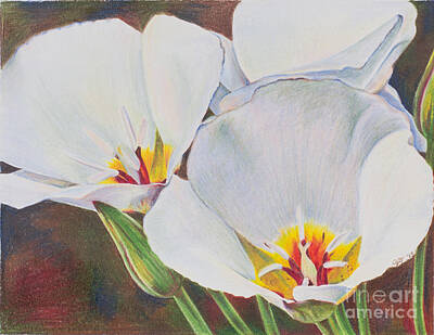 Best Sellers - Lilies Drawings - Consider the Lilies by Alena Turner