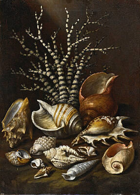  Painting - Coral And Shells by Paolo Porpora