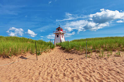 Dainty Daisies - Covehead Harbour Lighthouse by Eunice Gibb
