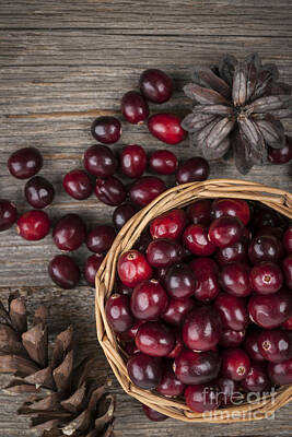 Still Life Royalty-Free and Rights-Managed Images - Cranberries in basket 4 by Elena Elisseeva