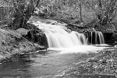 James Bo Insogna Royalty-Free and Rights-Managed Images - Creek Merge Waterfall in Black and White by James BO Insogna