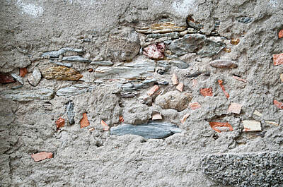 Beach House Shell Fish - Crude Stone Wall by Ilan Rosen