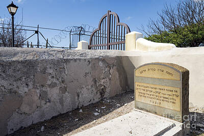 Grape Vineyards - Curacao - Gate and barbwire fence at the Jewish Cemetery by Kenneth Lempert