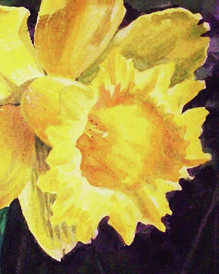 The Playroom - Daffodil Close Up  by Irina Sztukowski