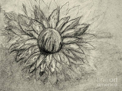 Abstract Flowers Drawings - Dah Dhalia by Dorothy Hilde