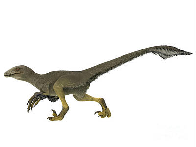 Slim Aarons - Dakotaraptor Dinosaur Side Profile by Corey Ford