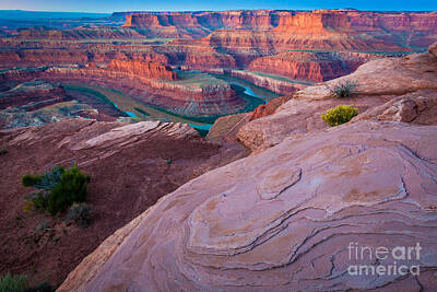 Animals Photos - Dead Horse Point by Inge Johnsson