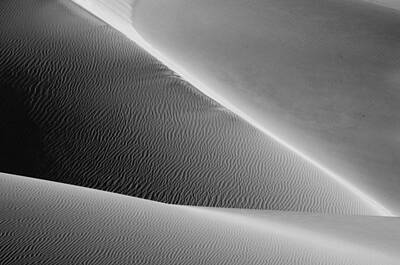 Amy Hamilton Watercolor Animals - Death Valley Dunes 5801 by Bob Neiman