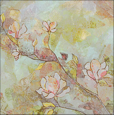 Royalty-Free and Rights-Managed Images - Delicate Magnolias by Shadia Derbyshire