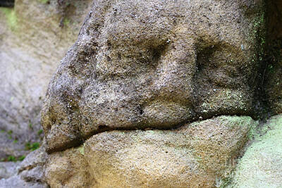 Winter Animals Royalty Free Images - Detail of the stone head Royalty-Free Image by Michal Boubin