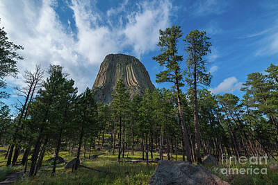 Surrealism Photo Rights Managed Images - Devils Tower Above The Trees  Royalty-Free Image by Michael Ver Sprill